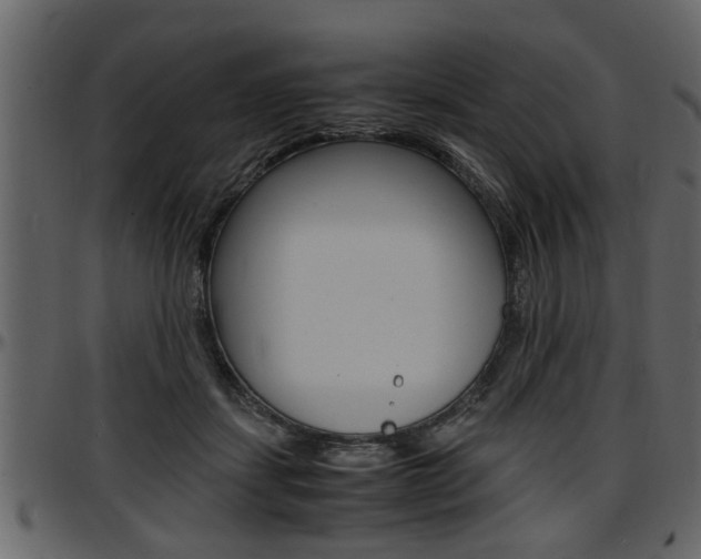 X0000097600459200802290736