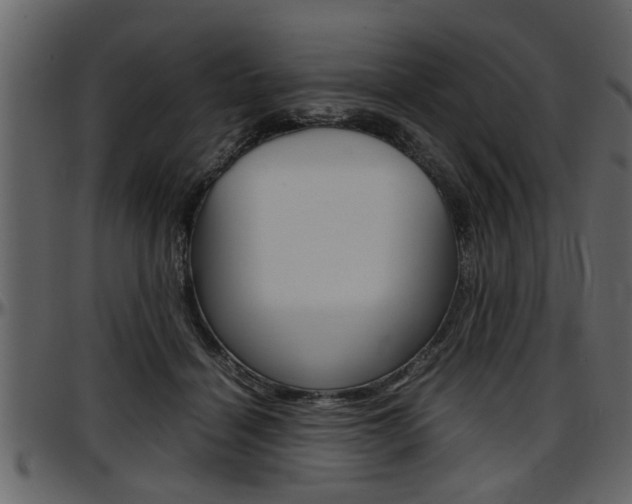 X0000097600460200802290736