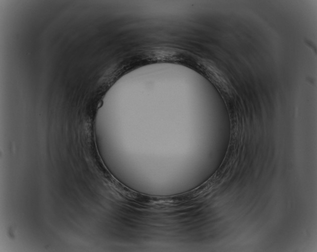 X0000097600461200802290736