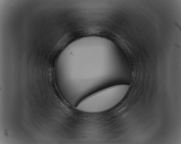 X0000097600462200802290736