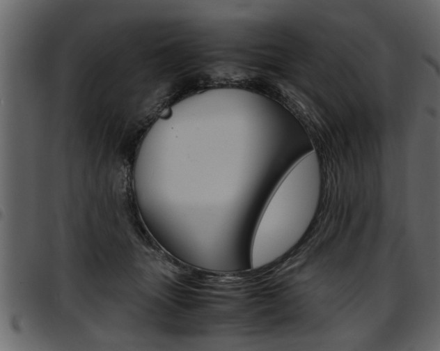 X0000097600463200802290736