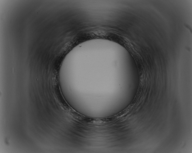 X0000097600464200802290736