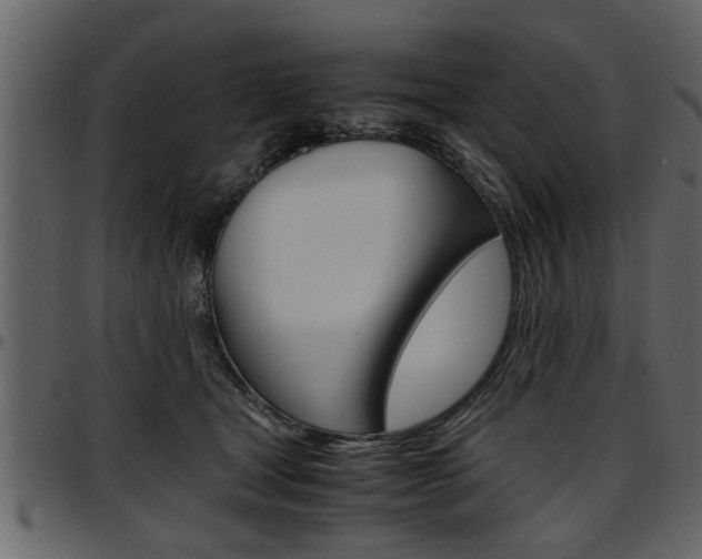 X0000097600465200802290736
