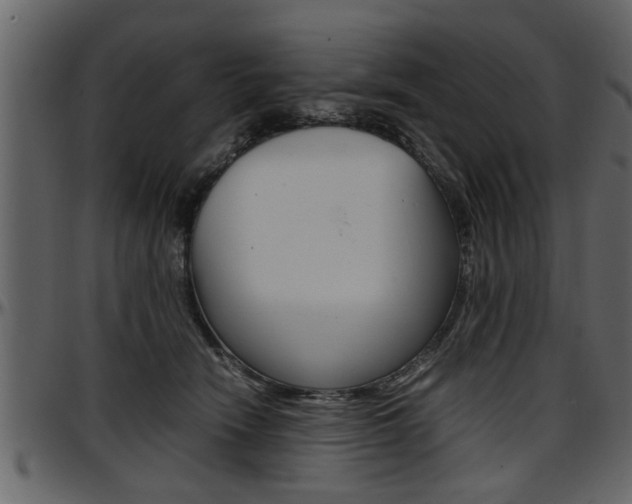X0000097600466200802290736
