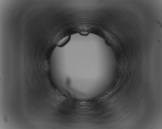 X0000097600467200802290736