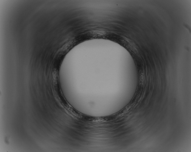 X0000097600468200802290736