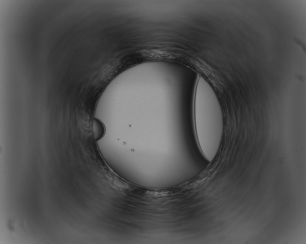 X0000097600469200802290736