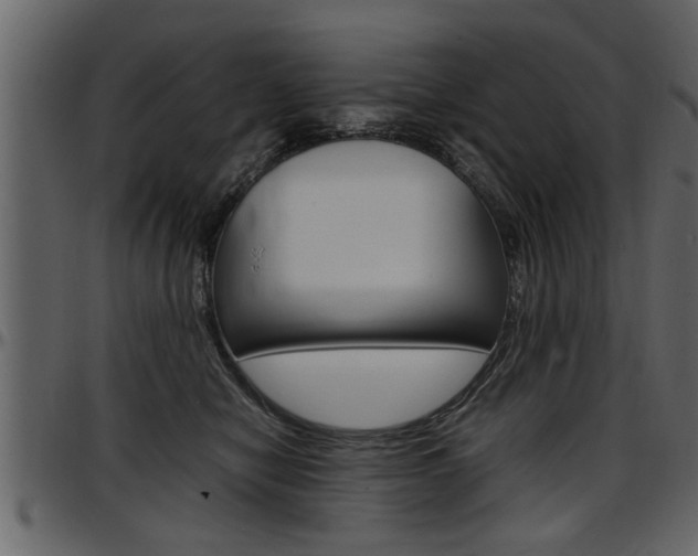 X0000097600470200802290736