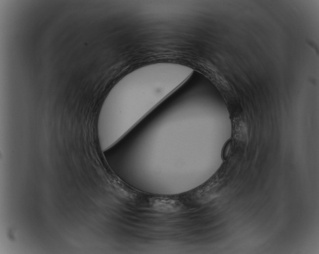 X0000097600471200802290736