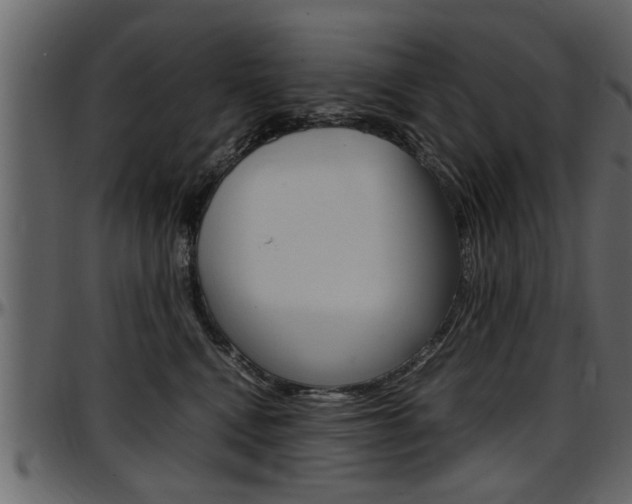 X0000097600472200802290736