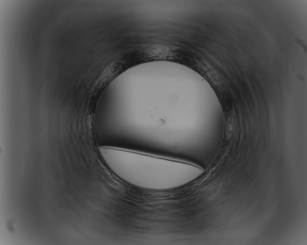X0000097600473200802290736