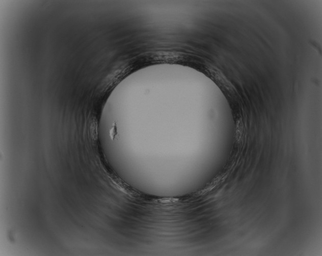 X0000097600474200802290736
