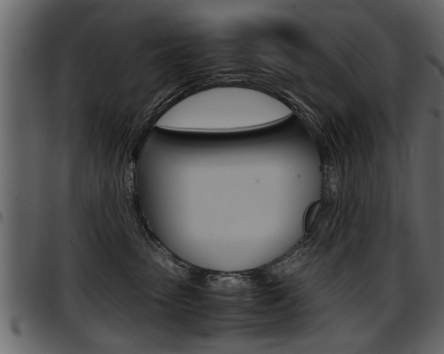 X0000097600475200802290736