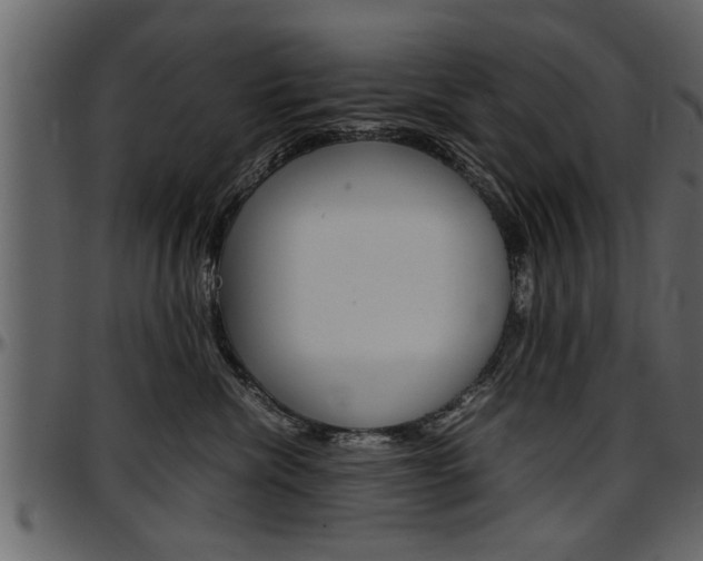 X0000097600476200802290736