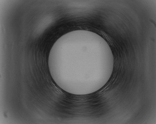 X0000097600477200802290736
