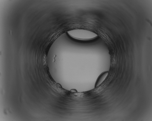 X0000097600478200802290736