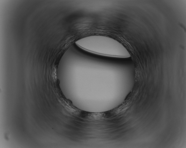 X0000097600479200802290736