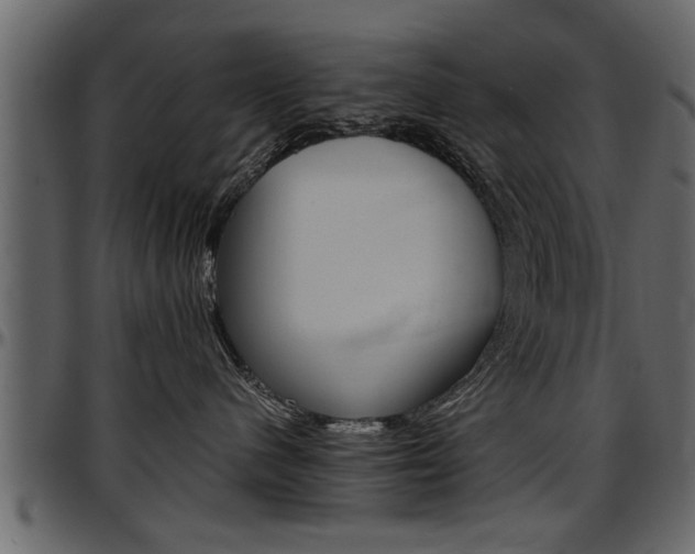 X0000097600480200802290736