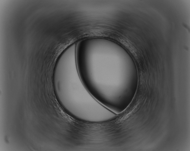 X0000097600481200802290735