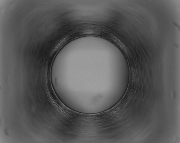 X0000097600482200802290735