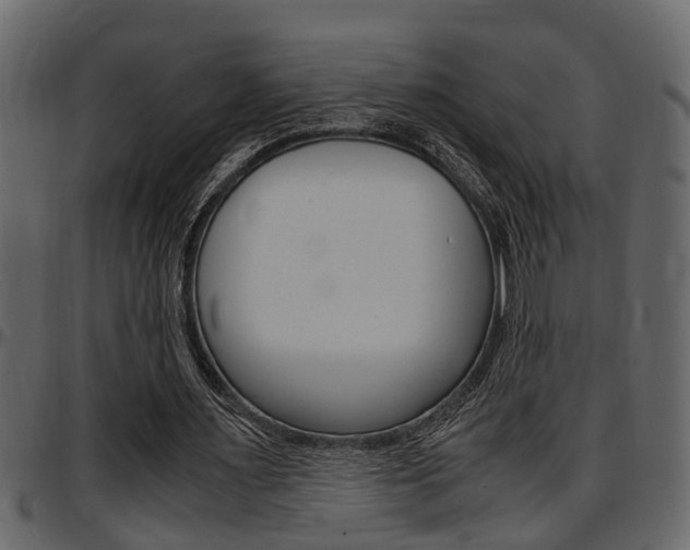 X0000097600483200802290735