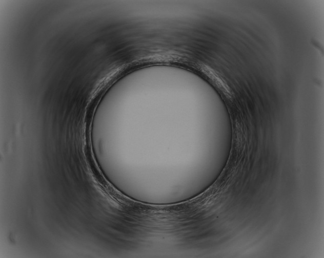 X0000097600486200802290735