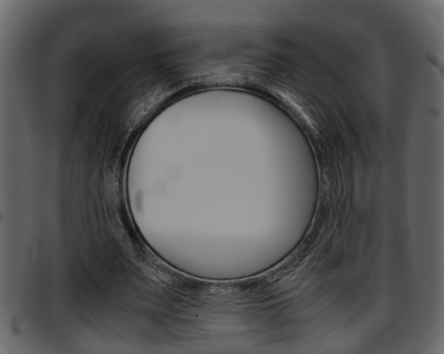 X0000097600487200802290735