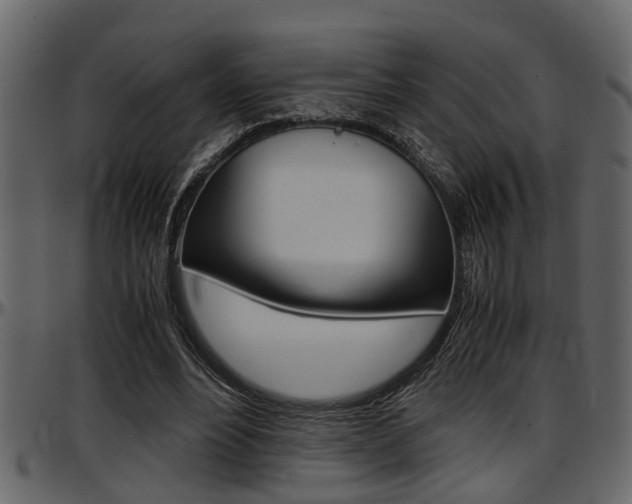 X0000097600488200802290735