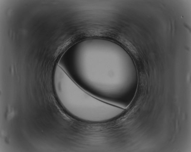 X0000097600489200802290735
