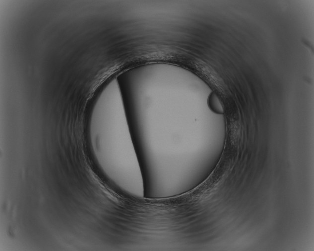 X0000097600490200802290735