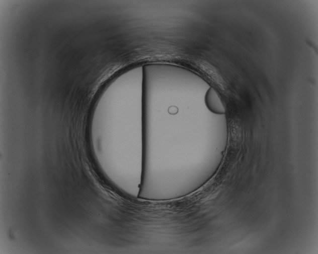 X0000097600491200802290735