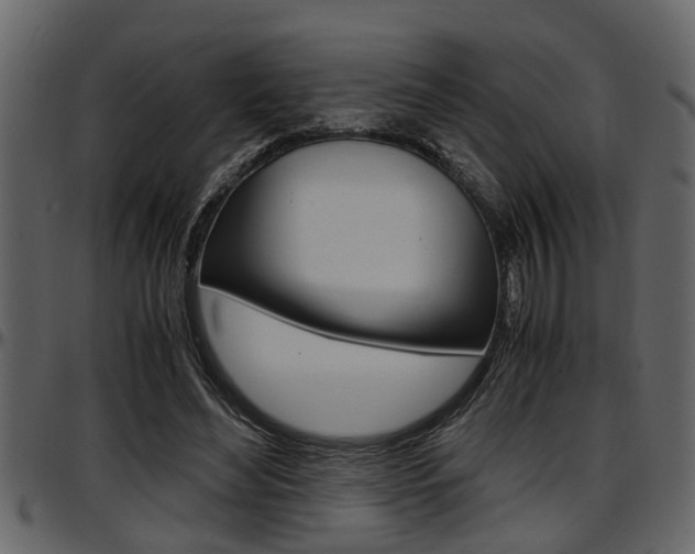 X0000097600492200802290735
