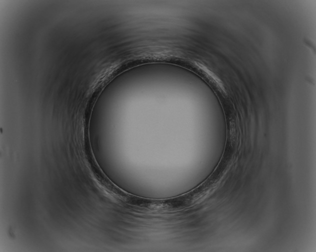 X0000097600493200802290735
