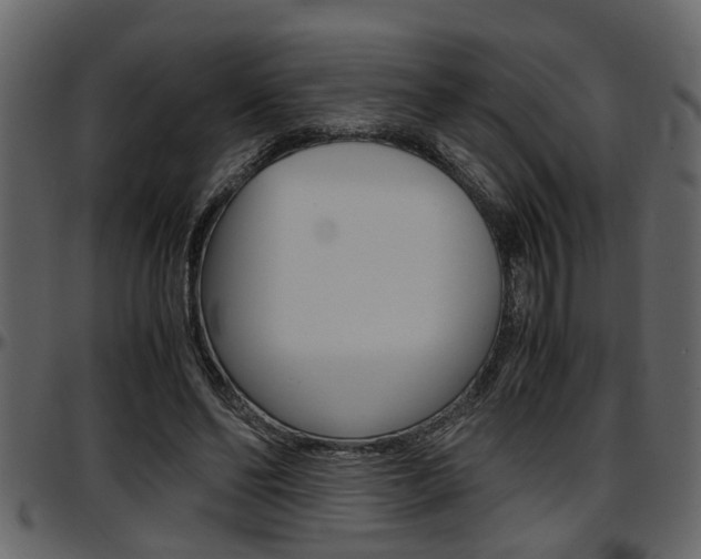 X0000097600494200802290735