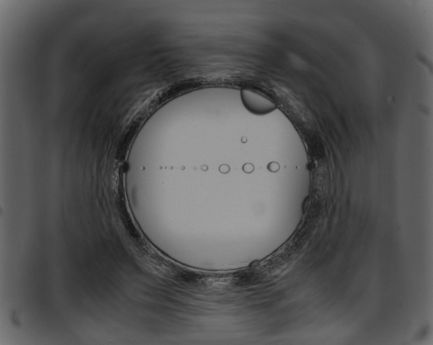 X0000097600495200802290735