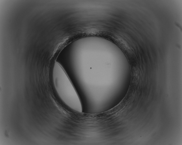 X0000097600496200802290735
