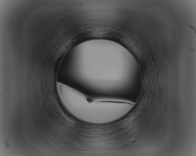 X0000097600497200802290735
