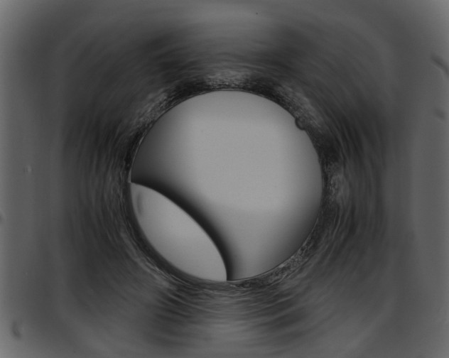 X0000097600498200802290735