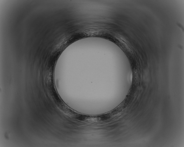 X0000097600499200802290735
