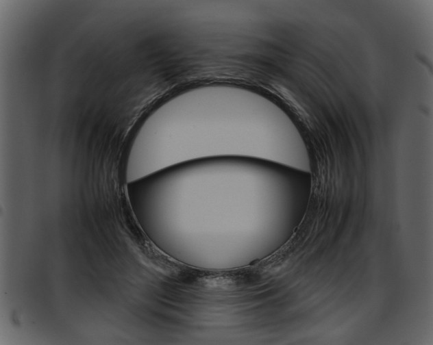 X0000097600500200802290735