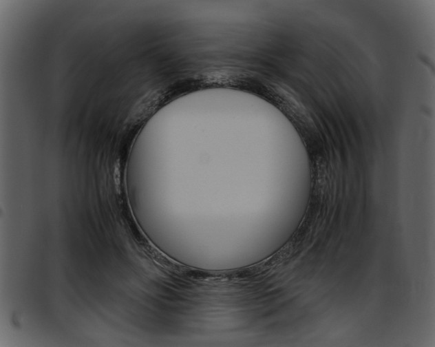 X0000097600502200802290735