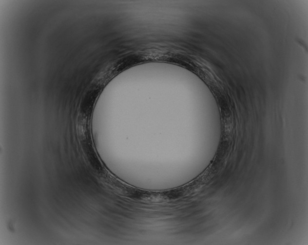 X0000097600503200802290735