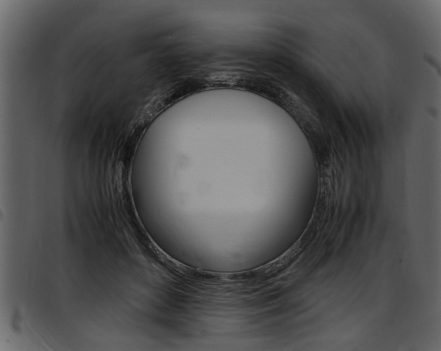X0000097600504200802290735