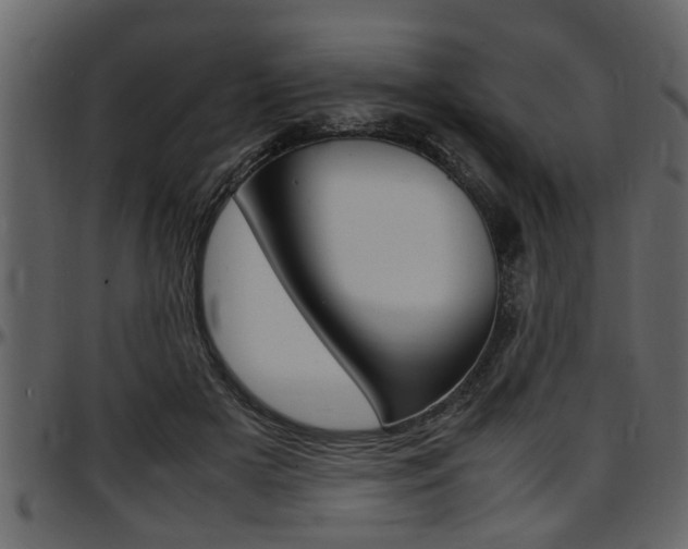 X0000097600505200802290735