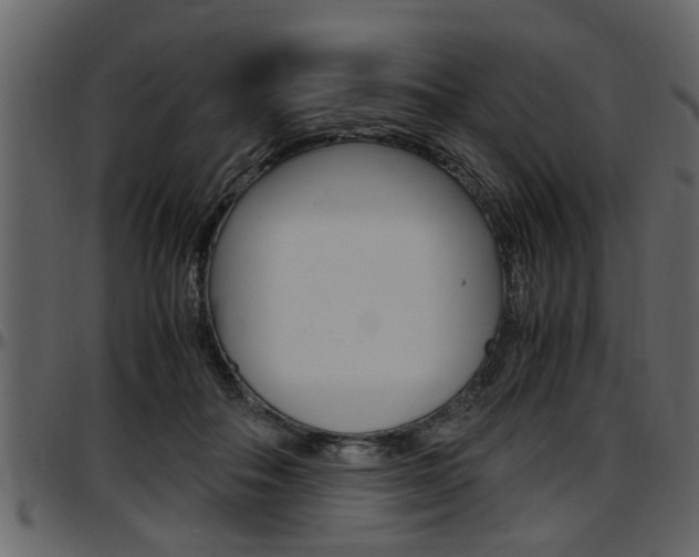 X0000097600506200802290735