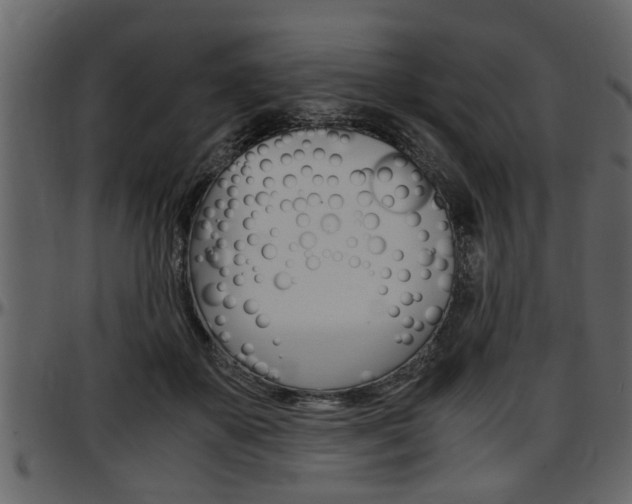 X0000097600507200802290735