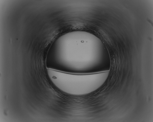 X0000097600508200802290735