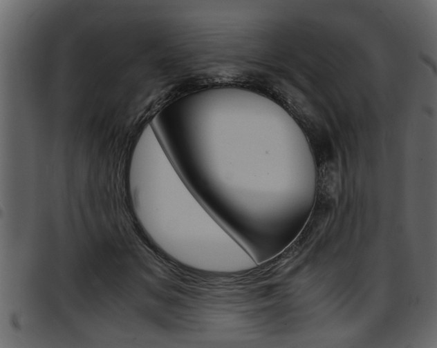 X0000097600509200802290735