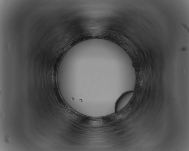 X0000097600510200802290735