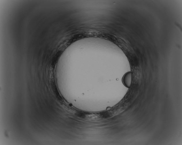 X0000097600511200802290735